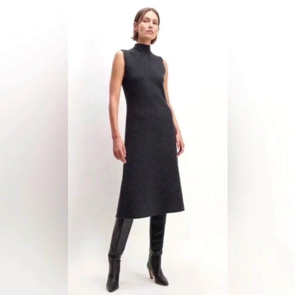 Everlane turtleneck sweater dress